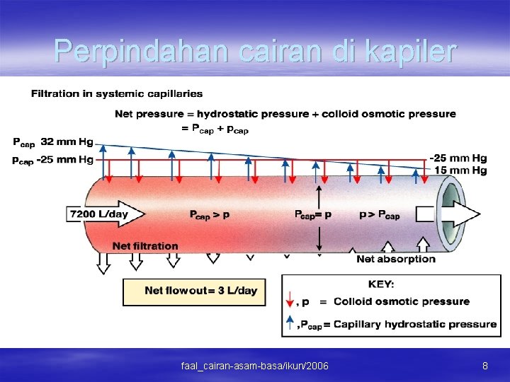 Perpindahan cairan di kapiler faal_cairan-asam-basa/ikun/2006 8 