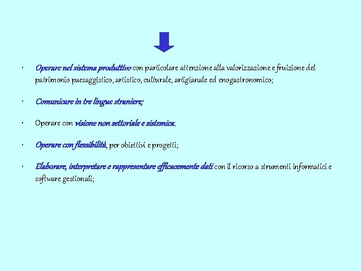  • Operare nel sistema produttivo con particolare attenzione alla valorizzazione e fruizione del