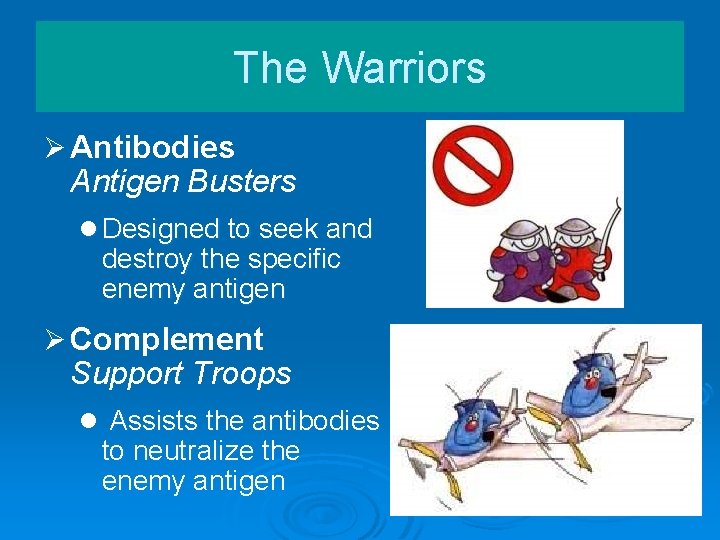 The Warriors Ø Antibodies Antigen Busters l Designed to seek and destroy the specific