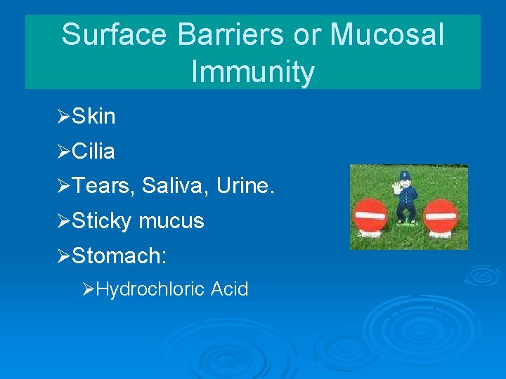 Surface Barriers or Mucosal Immunity ØSkin ØCilia ØTears, Saliva, Urine. ØSticky mucus ØStomach: ØHydrochloric