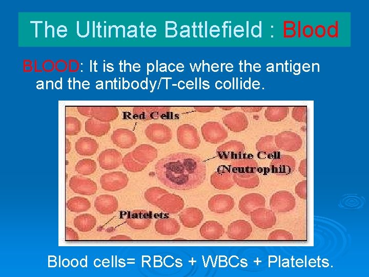 The Ultimate Battlefield : Blood BLOOD: It is the place where the antigen and