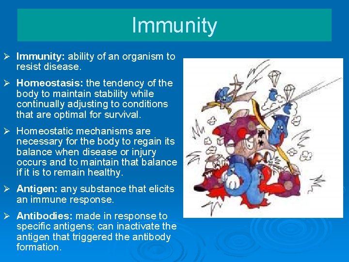 Immunity Ø Immunity: ability of an organism to resist disease. Ø Homeostasis: the tendency