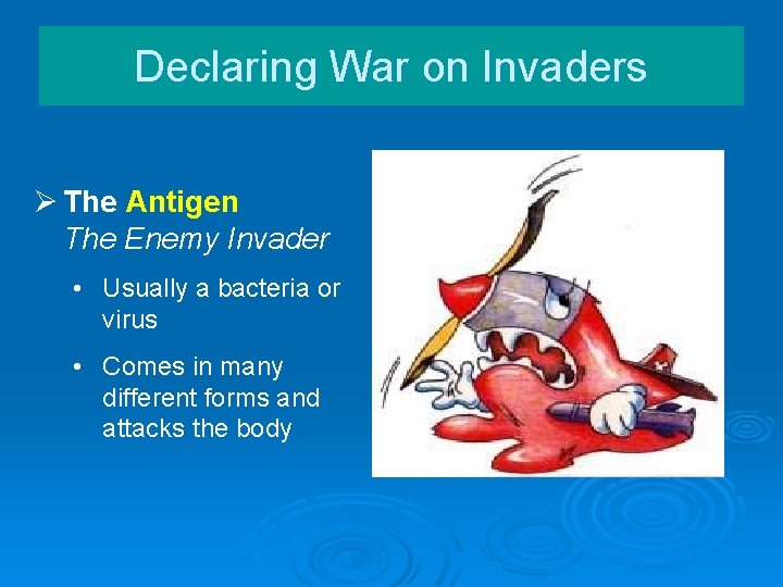 Declaring War on Invaders Ø The Antigen The Enemy Invader • Usually a bacteria