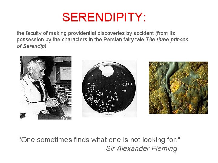 SERENDIPITY: the faculty of making providential discoveries by accident (from its possession by the