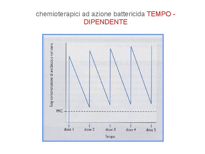 chemioterapici ad azione battericida TEMPO DIPENDENTE 