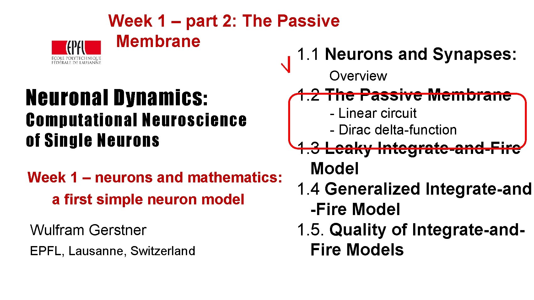 Week 1 – part 2: The Passive Membrane 1. 1 Neurons and Synapses: Overview