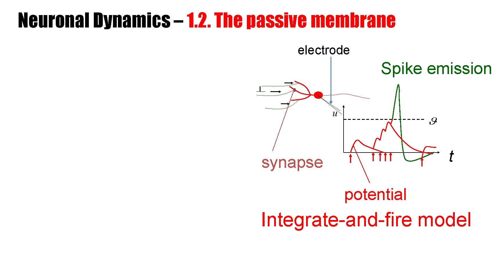 Neuronal Dynamics – 1. 2. The passive membrane electrode Spike emission t synapse potential