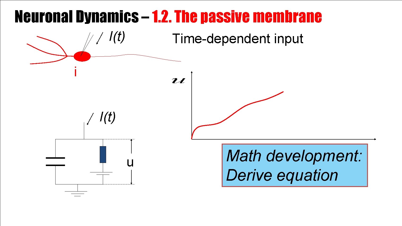 Neuronal Dynamics – 1. 2. The passive membrane I(t) Time-dependent input i I(t) u