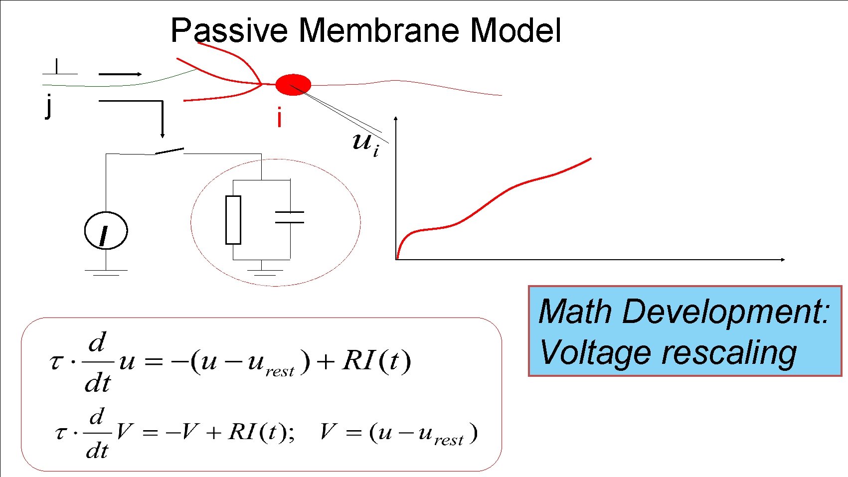 Passive Membrane Model j i I Math Development: Voltage rescaling 