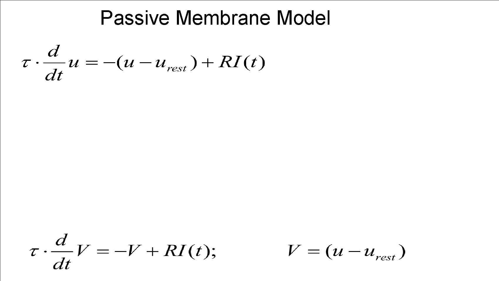 Passive Membrane Model 