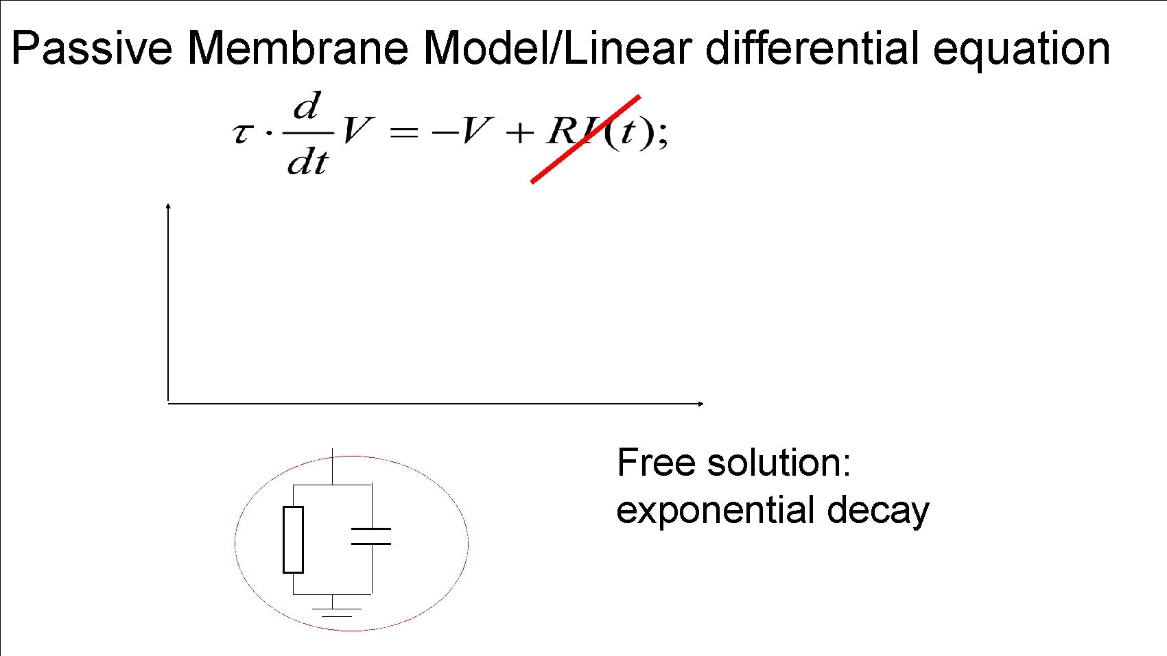 Passive Membrane Model/Linear differential equation Free solution: exponential decay 