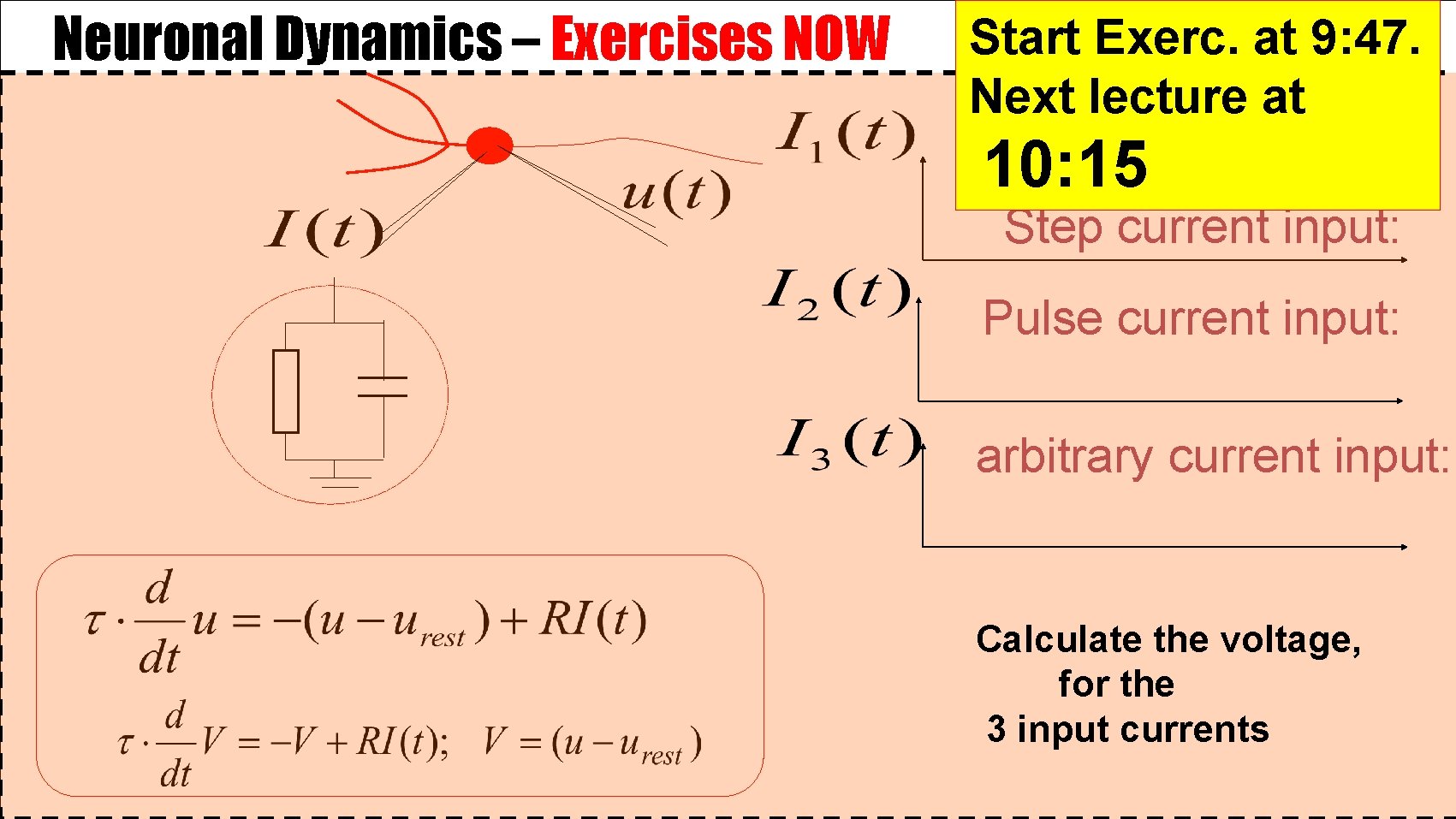 Neuronal Dynamics – Exercises NOW Start Exerc. at 9: 47. Next lecture at 10: