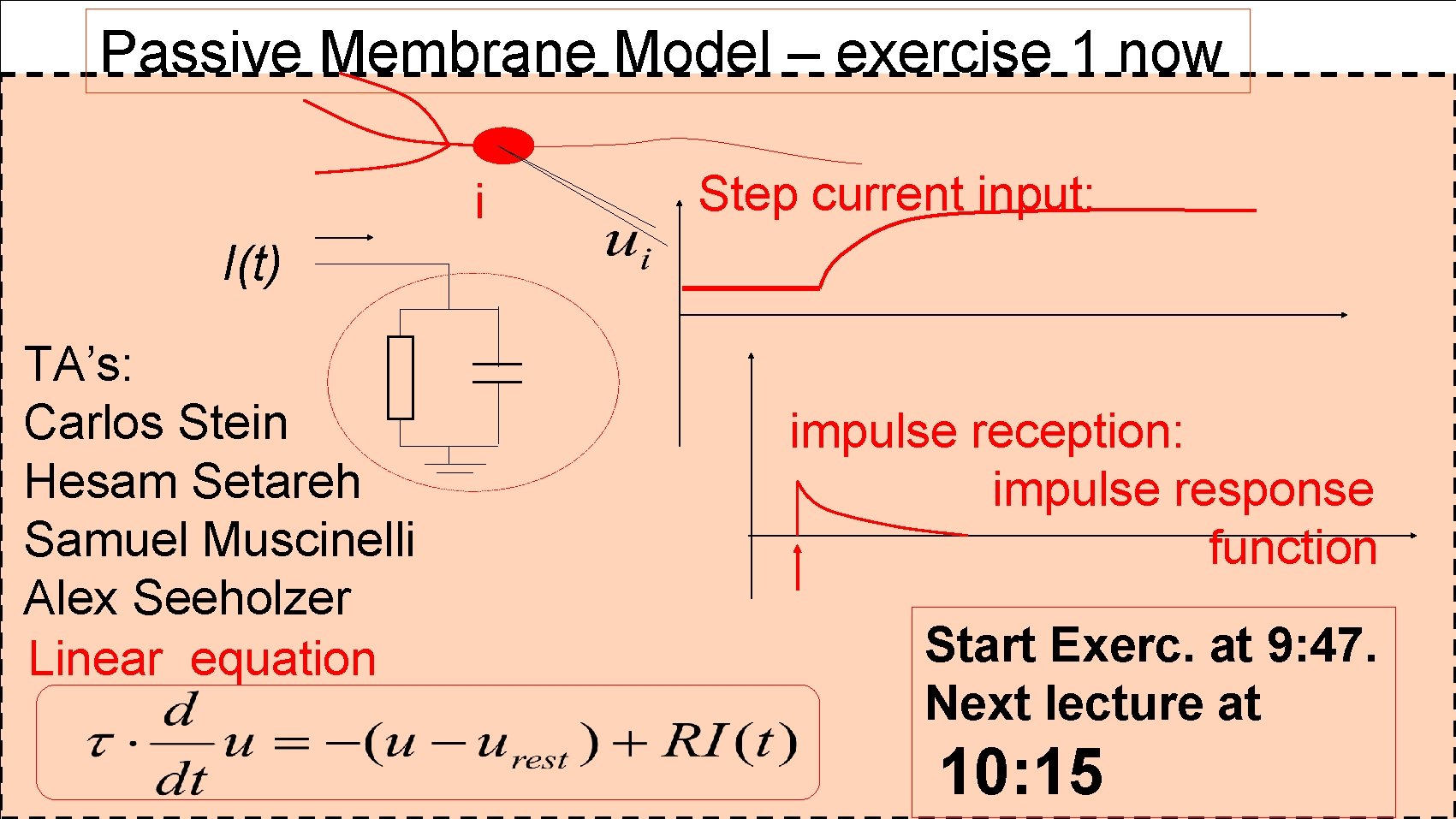 Passive Membrane Model – exercise 1 now i Step current input: I(t) TA’s: Carlos