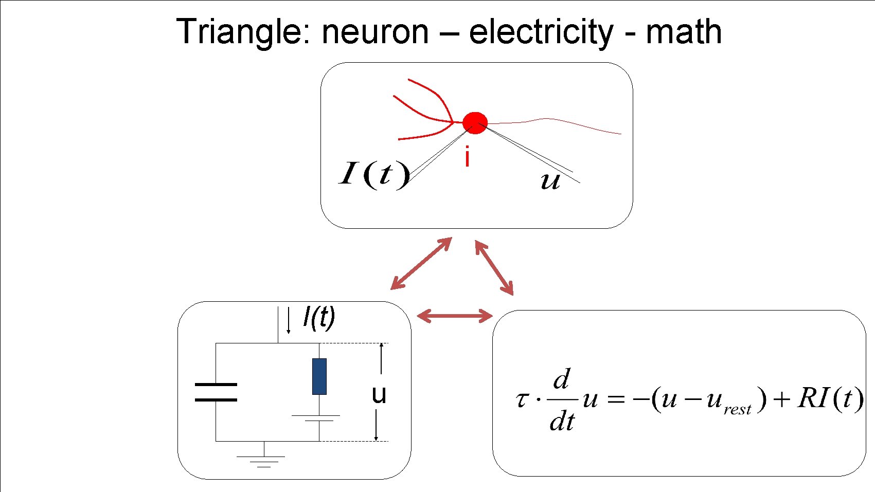 Triangle: neuron – electricity - math i I(t) u 