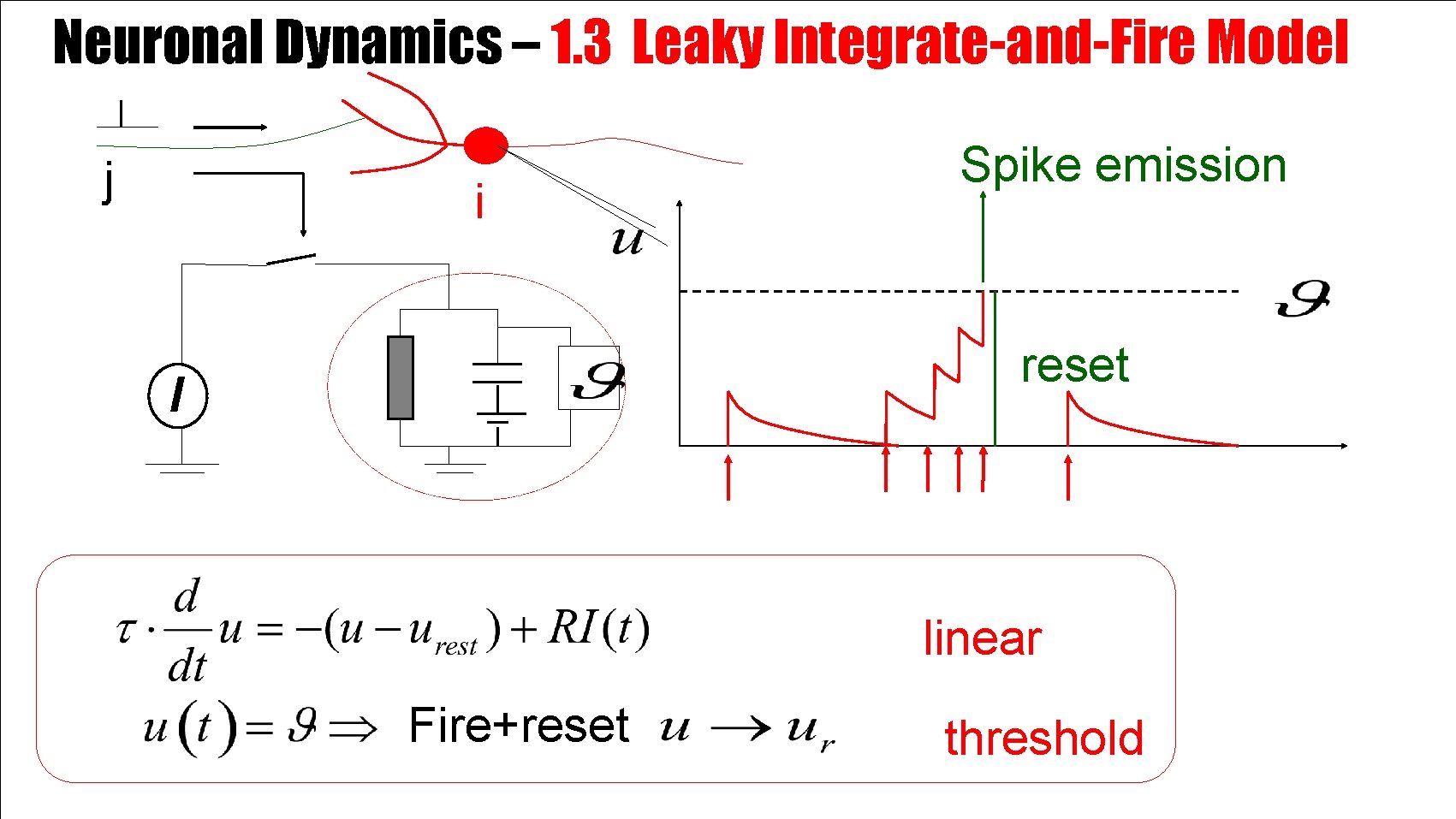 Neuronal Dynamics – 1. 3 Leaky Integrate-and-Fire Model j i Spike emission reset I