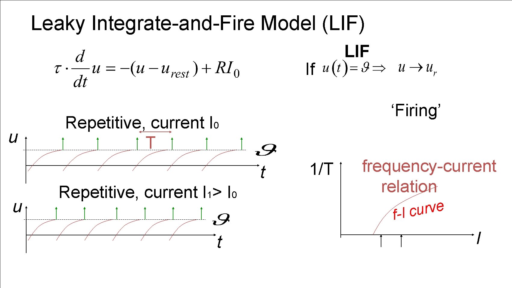 Leaky Integrate-and-Fire Model (LIF) If u ‘Firing’ Repetitive, current I 0 T t u