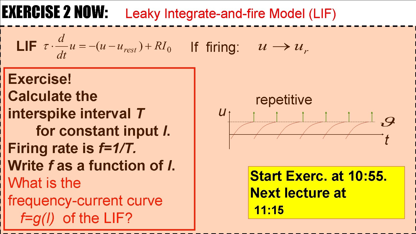 EXERCISE 2 NOW: Leaky Integrate-and-fire Model (LIF) LIF Exercise! Calculate the interspike interval T