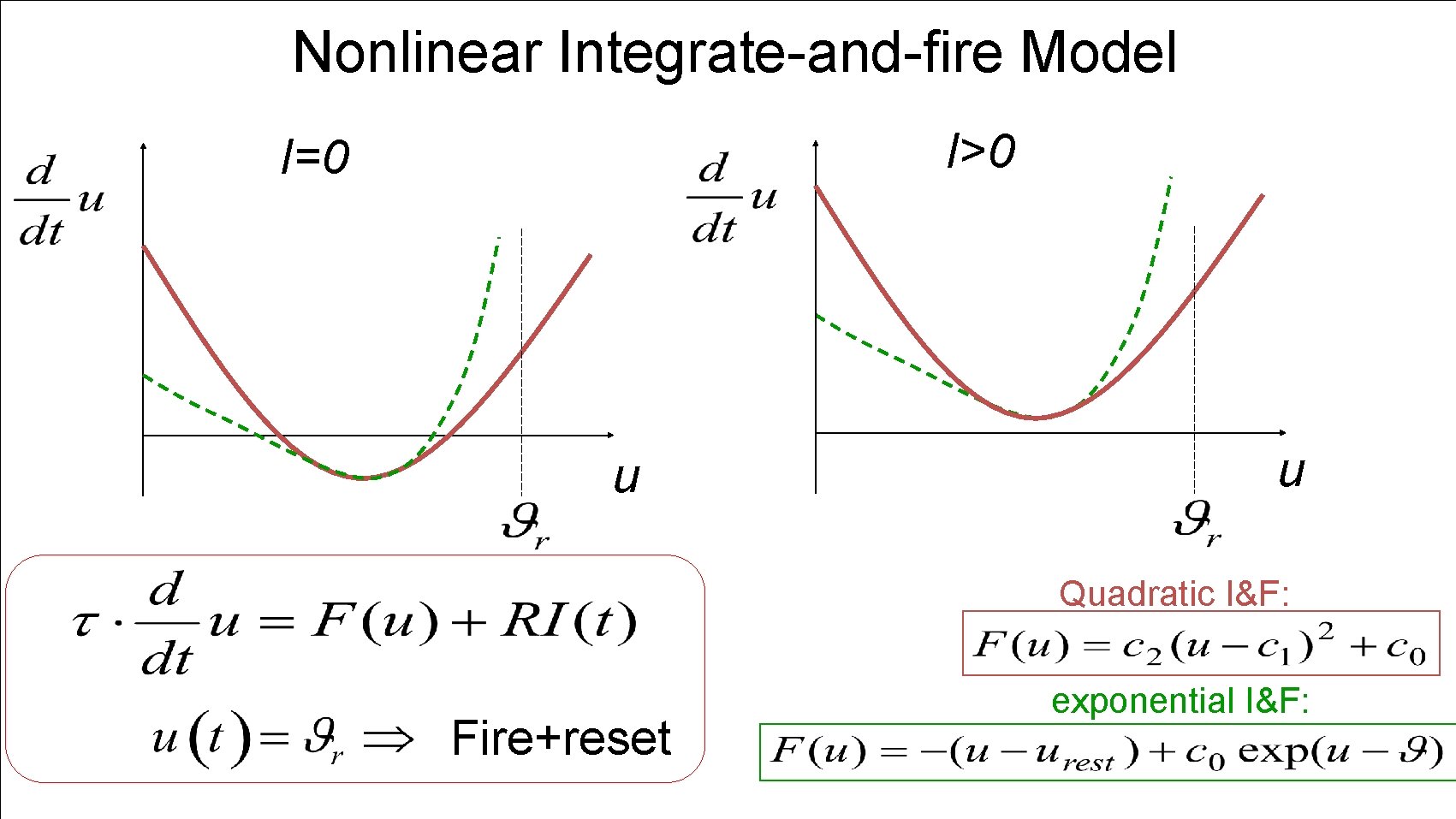 Nonlinear Integrate-and-fire Model I>0 I=0 u u Quadratic I&F: Fire+reset exponential I&F: 