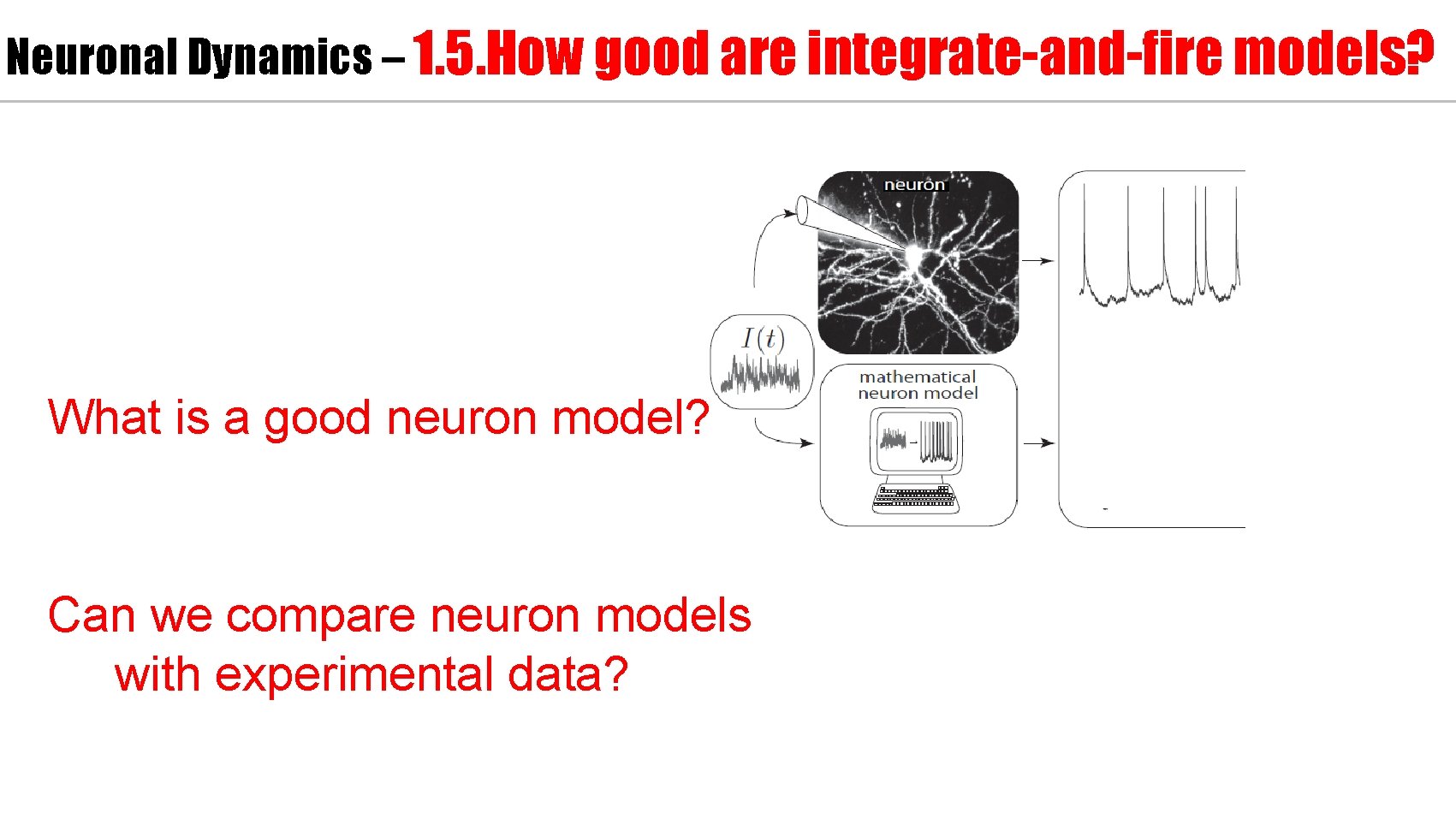 Neuronal Dynamics – 1. 5. How good are integrate-and-fire models? What is a good
