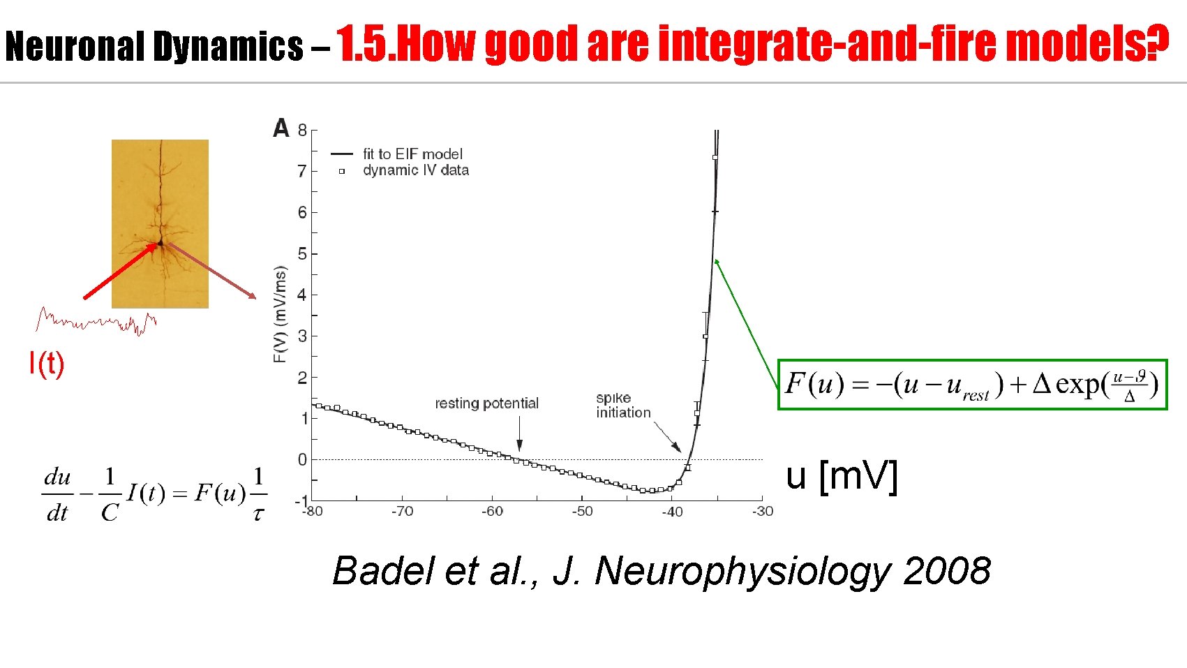 Neuronal Dynamics – 1. 5. How good are integrate-and-fire models? voltage I(t) u [m.