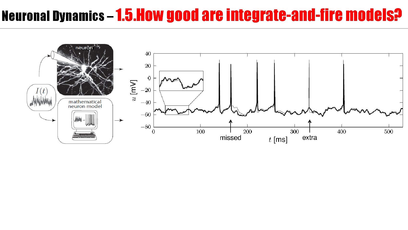 Neuronal Dynamics – 1. 5. How good are integrate-and-fire models? 