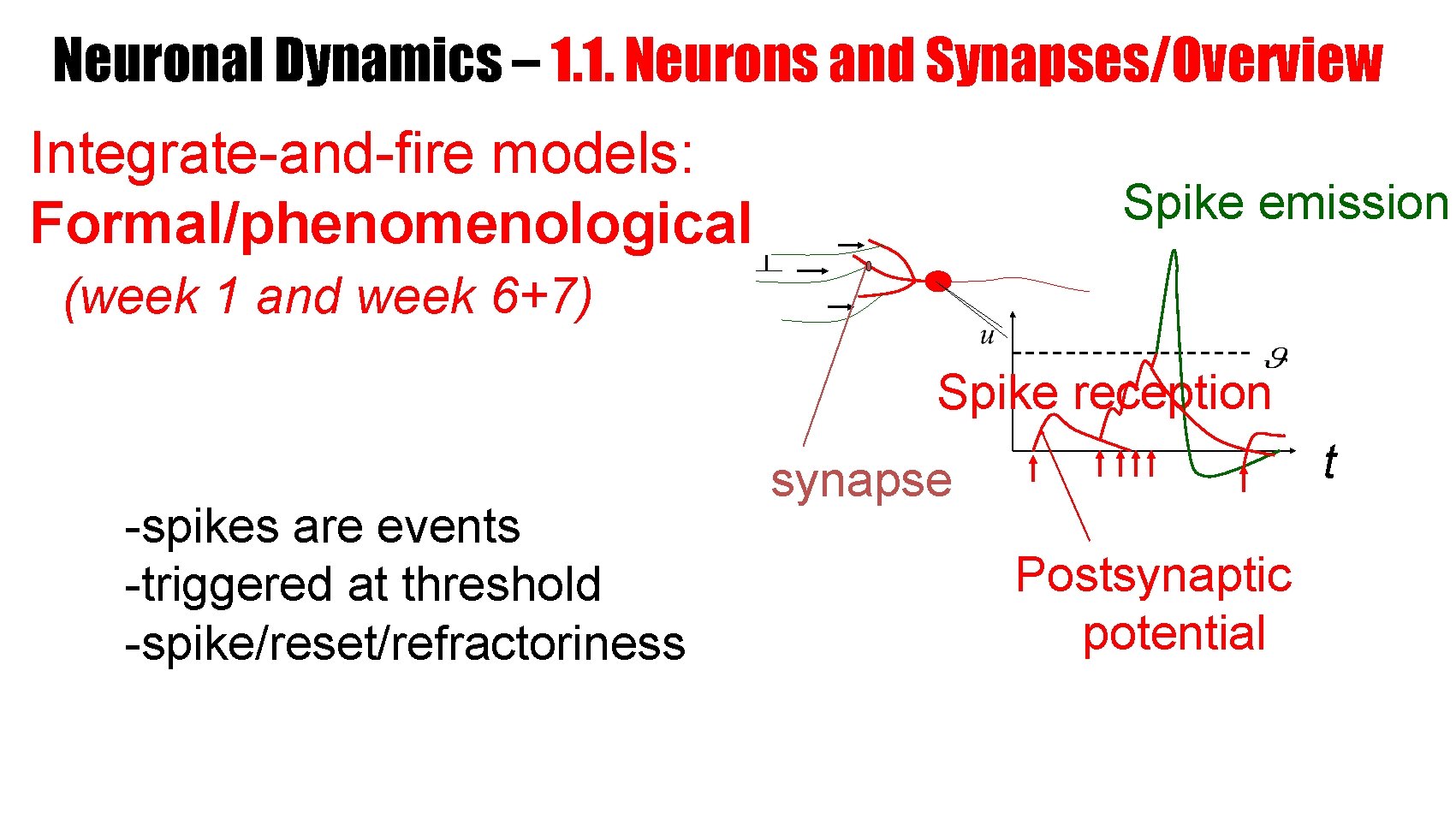 Neuronal Dynamics – 1. 1. Neurons and Synapses/Overview Integrate-and-fire models: Formal/phenomenological Spike emission (week