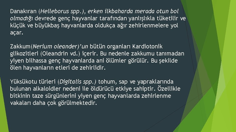 Danakıran (Helleborus spp. ), erken ilkbaharda merada otun bol olmadığı devrede genç hayvanlar tarafından