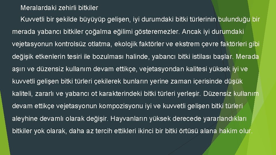 Meralardaki zehirli bitkiler Kuvvetli bir şekilde büyüyüp gelişen, iyi durumdaki bitki türlerinin bulunduğu bir