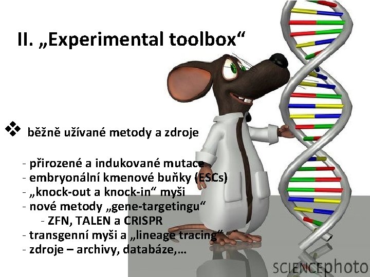 II. „Experimental toolbox“ v běžně užívané metody a zdroje - přirozené a indukované mutace