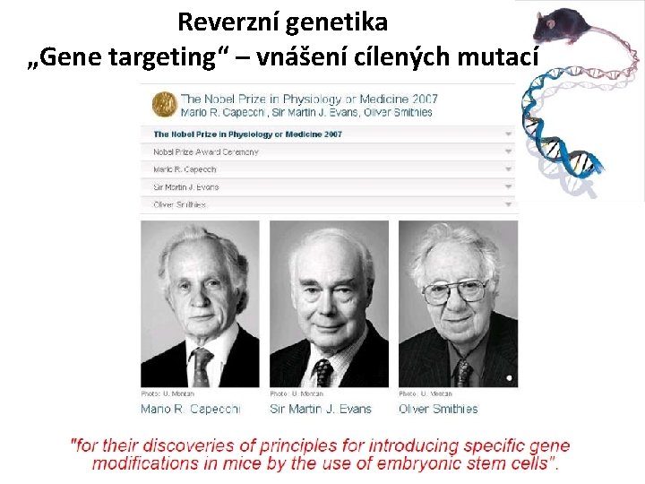 Reverzní genetika „Gene targeting“ – vnášení cílených mutací 