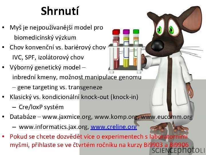 Shrnutí • Myš je nejpoužívanější model pro biomedicínský výzkum • Chov konvenční vs. bariérový