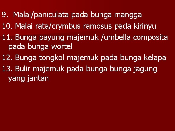 9. Malai/paniculata pada bunga mangga 10. Malai rata/crymbus ramosus pada kirinyu 11. Bunga payung