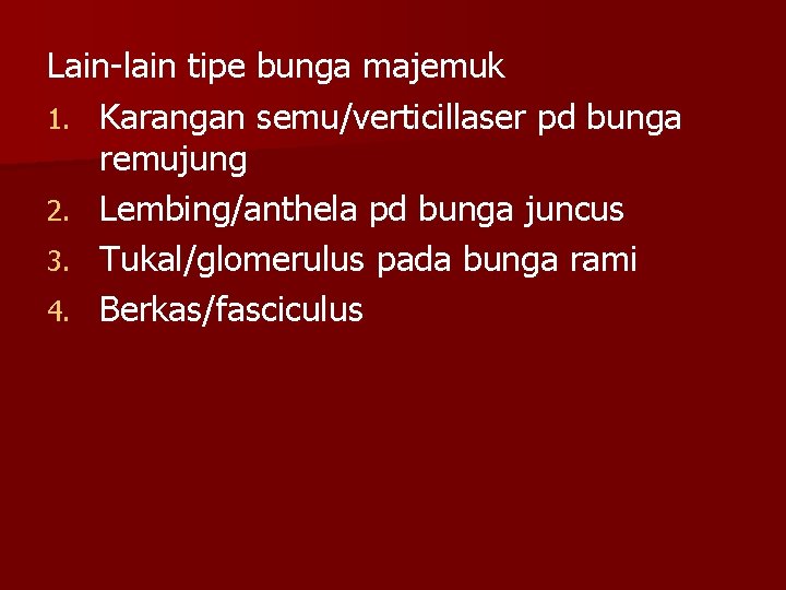 Lain-lain tipe bunga majemuk 1. Karangan semu/verticillaser pd bunga remujung 2. Lembing/anthela pd bunga