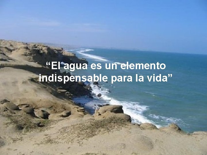 “El agua es un elemento indispensable para la vida” 