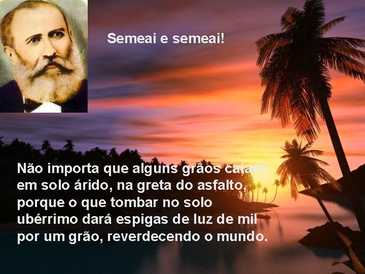 Semeai e semeai! Não importa que alguns grãos caiam em solo árido, na greta