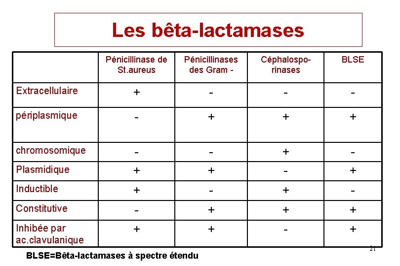 Les bêta-lactamases Pénicillinase de St. aureus Pénicillinases des Gram - Céphalosporinases BLSE Extracellulaire + Les bêta-lactamases Pénicillinase de St. aureus Pénicillinases des Gram - Céphalosporinases BLSE Extracellulaire +