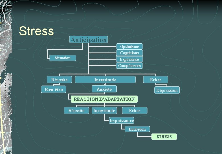 Stress Anticipation Optimisme Cognitions Situation Expérience Compétences Réussite Incertitude Echec Anxiété Bien-être Dépression REACTION Stress Anticipation Optimisme Cognitions Situation Expérience Compétences Réussite Incertitude Echec Anxiété Bien-être Dépression REACTION