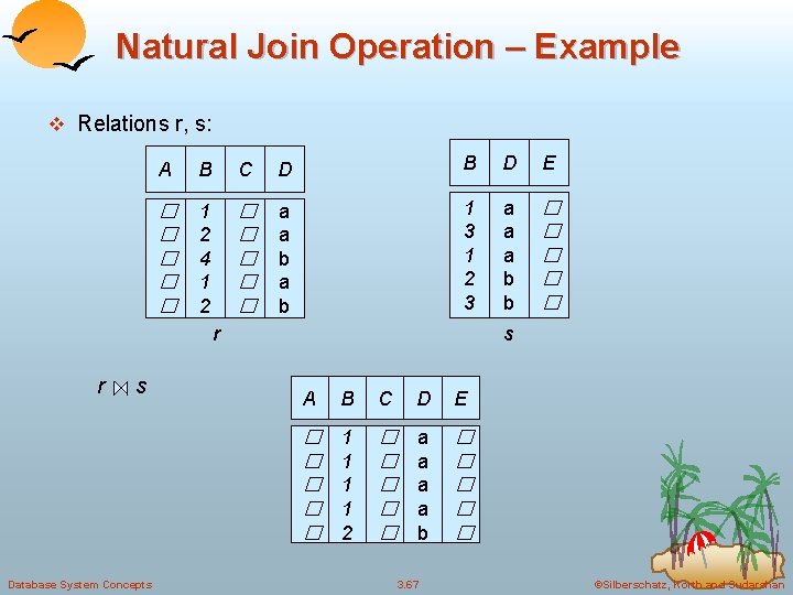 Natural Join Operation – Example v Relations r, s: A B C D B