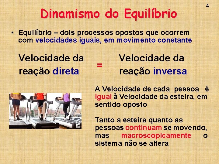 Dinamismo do Equilíbrio 4 • Equilíbrio – dois processos opostos que ocorrem com velocidades