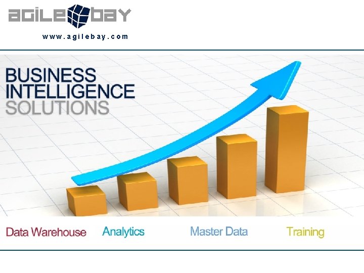 www. agilebay. com 