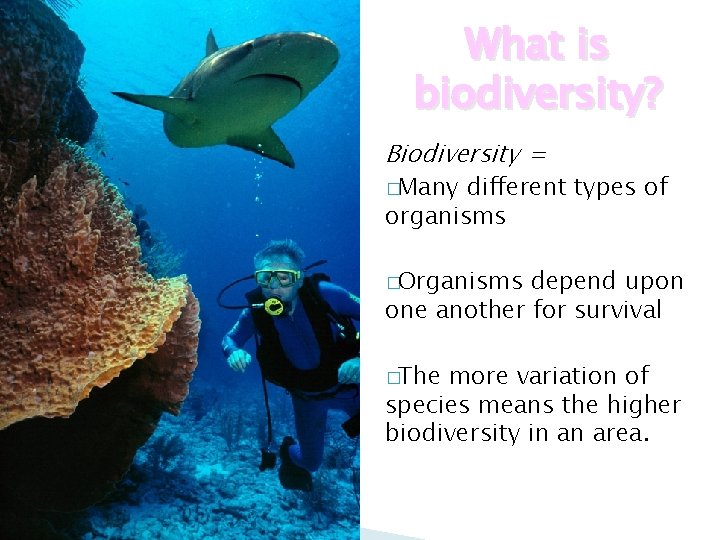 What is biodiversity? Biodiversity = �Many different types of organisms �Organisms depend upon one