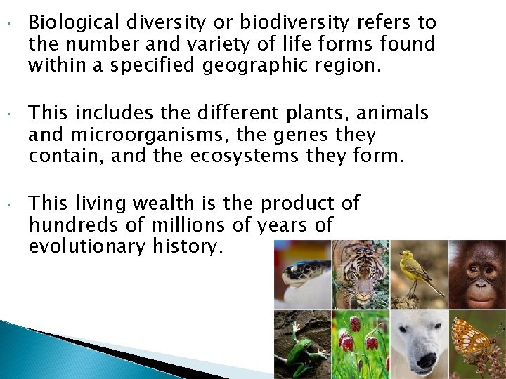  Biological diversity or biodiversity refers to the number and variety of life forms