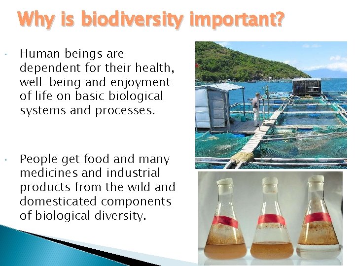 Why is biodiversity important? Human beings are dependent for their health, well-being and enjoyment