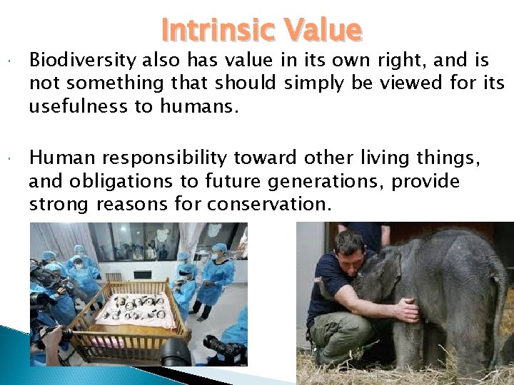 Intrinsic Value Biodiversity also has value in its own right, and is not something