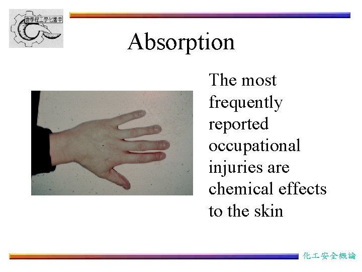 Absorption The most frequently reported occupational injuries are chemical effects to the skin 化