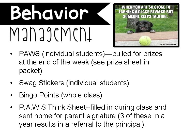  • PAWS (individual students)—pulled for prizes at the end of the week (see