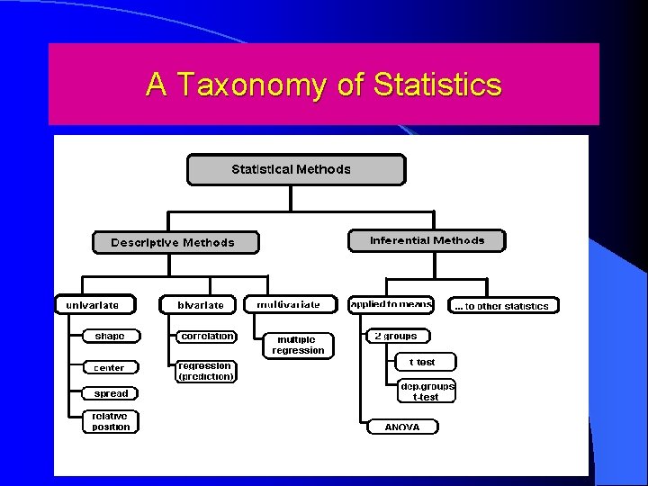 A Taxonomy of Statistics 