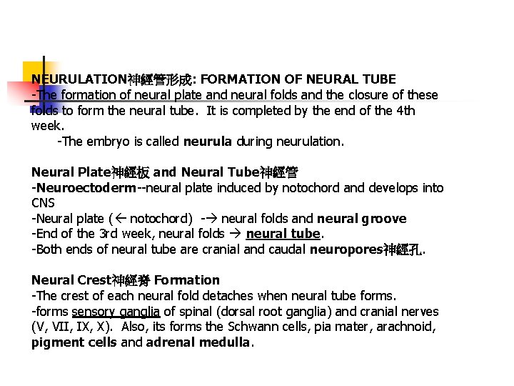 NEURULATION神經管形成: FORMATION OF NEURAL TUBE -The formation of neural plate and neural folds and