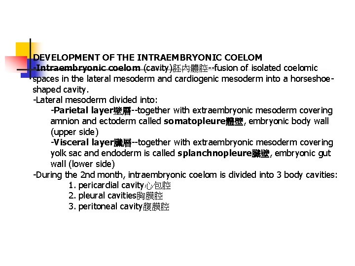 DEVELOPMENT OF THE INTRAEMBRYONIC COELOM -Intraembryonic coelom (cavity)胚內體腔--fusion of isolated coelomic spaces in the