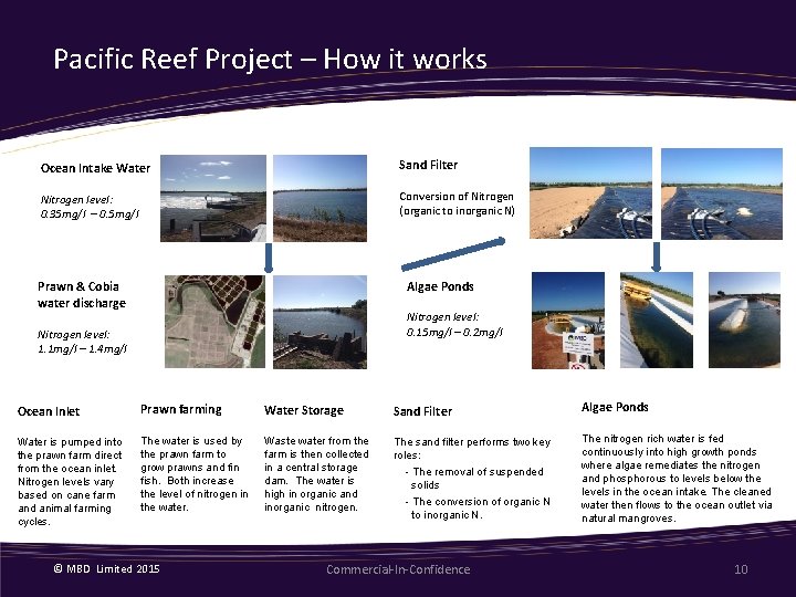 Pacific Reef Project – How it works Ocean Intake Water Sand Filter Nitrogen level: